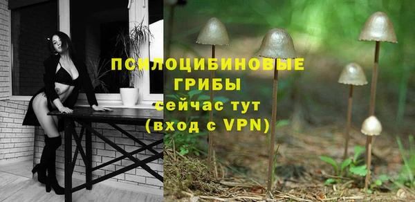 прущая мука Алзамай