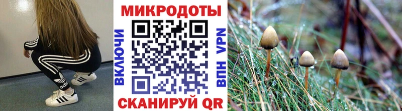 мега ONION как найти Нефтекумск Псилоцибиновые грибы Magic Shrooms