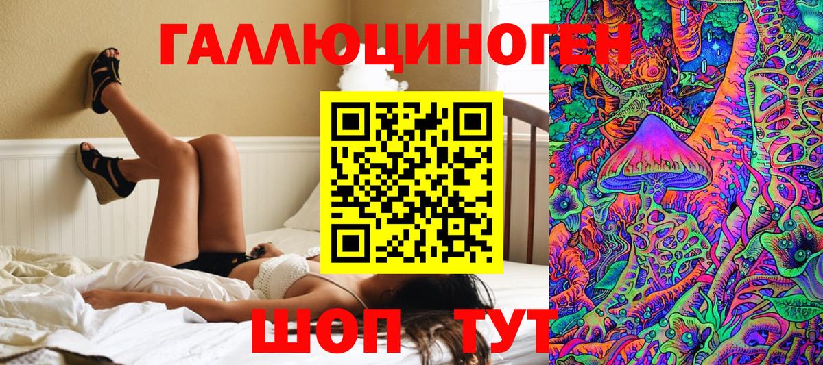 Нефтекумск  наркошоп  Псилоцибиновые грибы прущие грибы  Вход с VPN  Псилоцибиновые грибы Psilocybine cubensis 