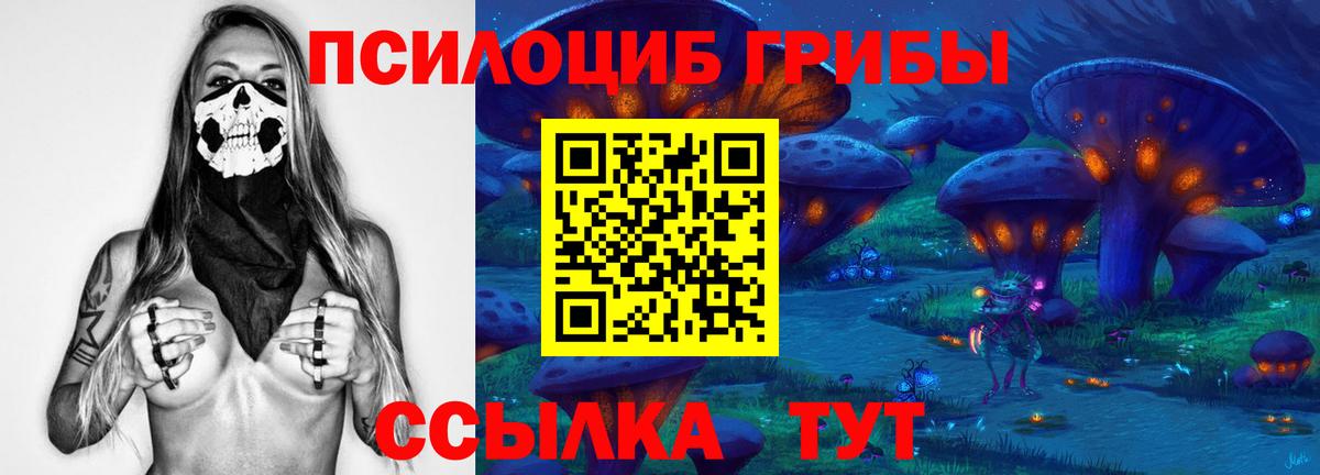 Галлюциногенные грибы GOLDEN TEACHER Нефтекумск